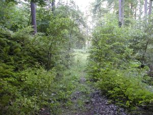 Fotografie – 2004 Sportovní kurz Beštvina