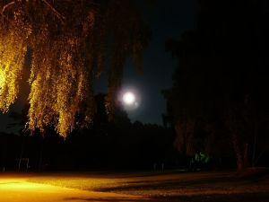 Fotografie – 2011 Sportovní kurz Beštvina