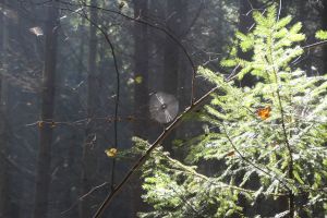 Fotografie – 2014 Sportovní kurz Beštvina