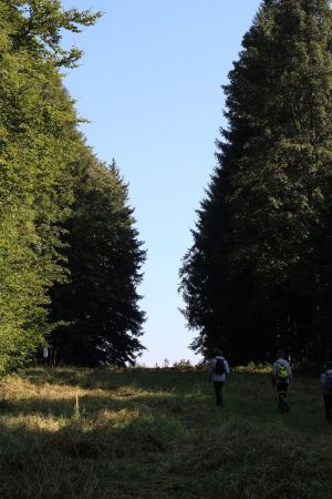 Fotografie – 2015 Sportovní kurz Beštvina