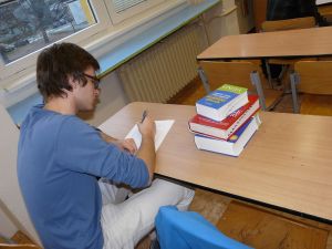 Fotografie – 2013 Juvenes Translatores