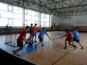 Fotografie – 2013 Florbal (přátelské Utkání s Gymnáziem Špitálská)